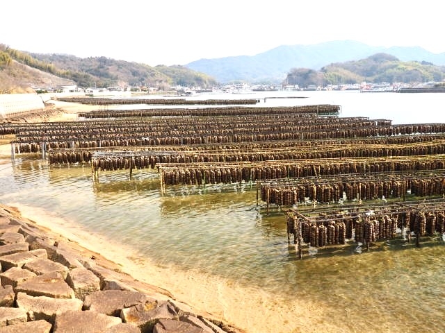 抑制
