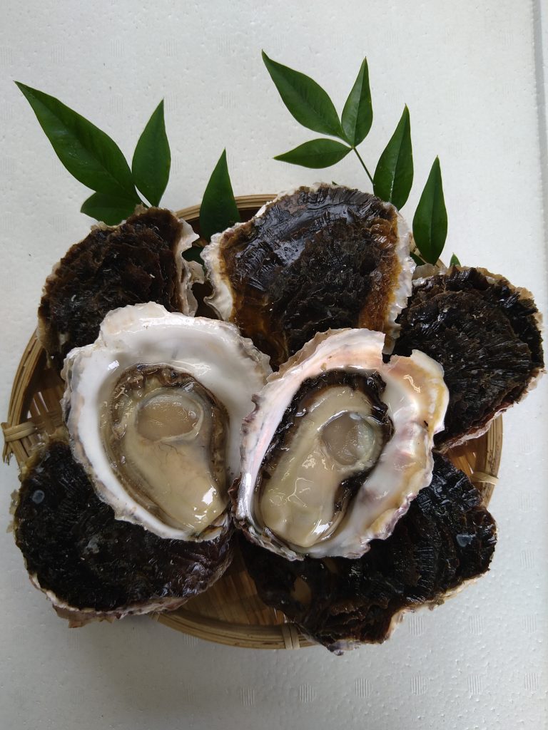 oyster-07