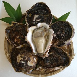 oyster-09
